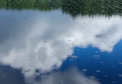 Illustration flaw - Image 1