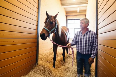 Illustration stalling - Image 1