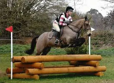 Illustration trial - Image 4