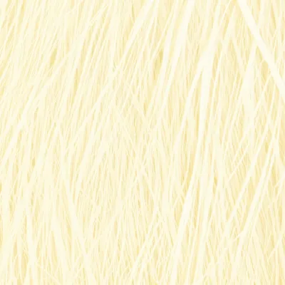 Illustration straw - Image 1