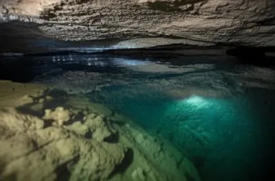 Illustration duck - Image 1