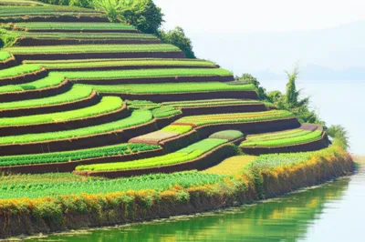 Illustration shelving - Image 1