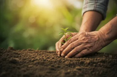 Illustration dignify - Image 1