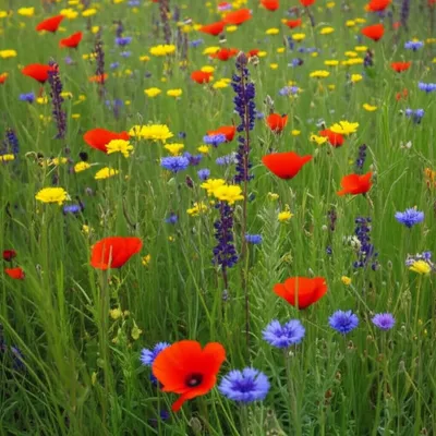 Illustration shoots - Image 1