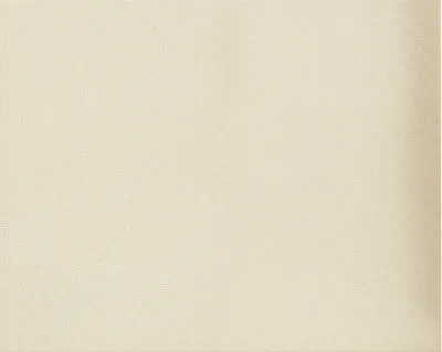 Illustration duck - Image 1