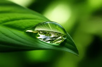 Illustration encapsulated - Image 1