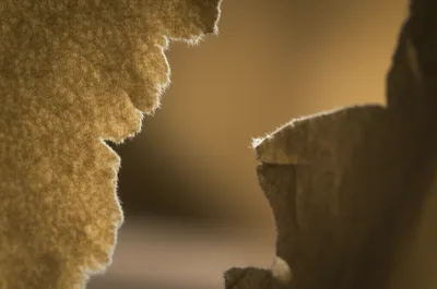 Illustration rips - Image 1