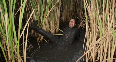 Illustration bogs - Image 1