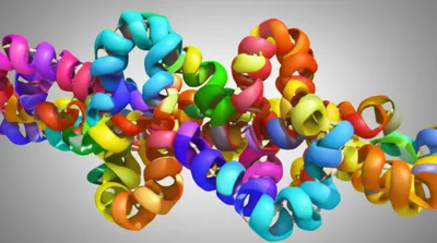 Illustration proteins
