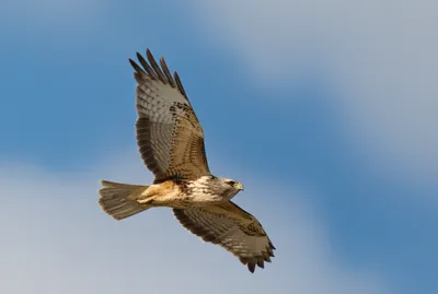 Illustration principal - Image 1