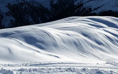 Illustration powder - Image 1