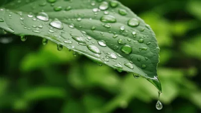 Illustration sheds - Image 1