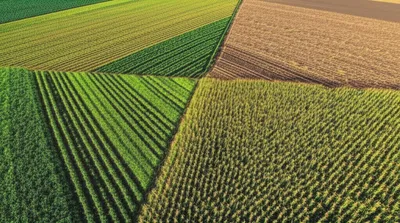 Illustration rotating - Image 1