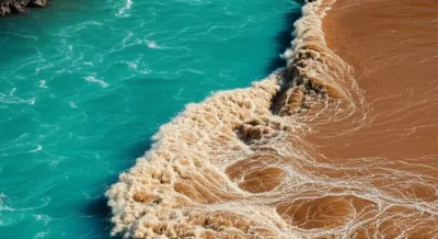 Illustration amalgamation - Image 1