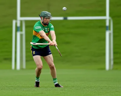 Hình ảnh minh họa hurler - Ảnh 1