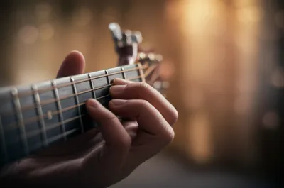 Illustration plucks - Image 1