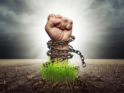 Illustration reclaimed - Image 1