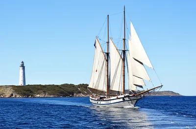 Illustration stands - Image 1