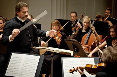 Illustration arses - Image 1