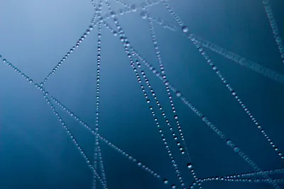 Illustration connexions - Image 1