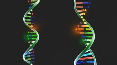 Illustration transitions - Image 1