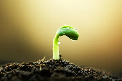 Illustration beginning - Image 1