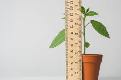 Illustration stick - Image 1