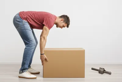 Illustration crick - Image 1