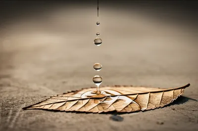 Illustration wash - Image 1