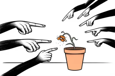 Illustration bash - Image 1