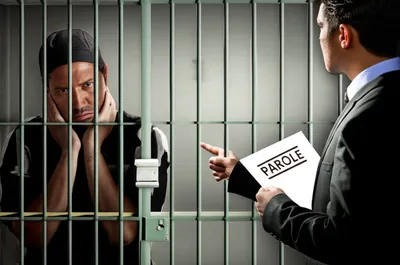 Illustration violates - Image 1