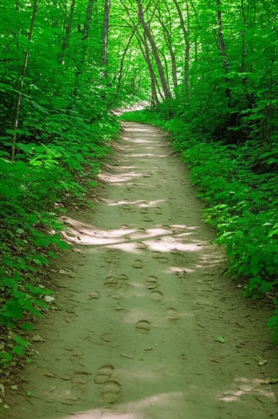 Illustration beating - Image 1