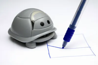 Illustration turtle - Image 1