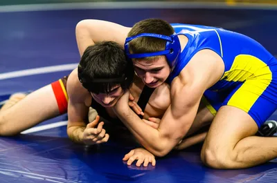 Illustration wrestle - Image 1