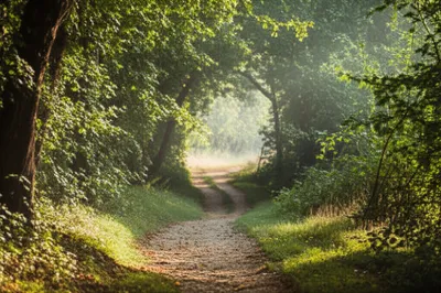 Illustration riding - Image 1