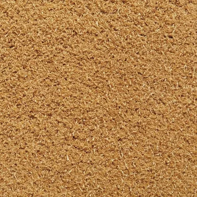 Illustration bran - Image 1