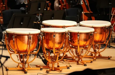 Illustration timpani