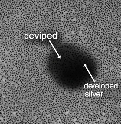 Illustration grain - Image 1