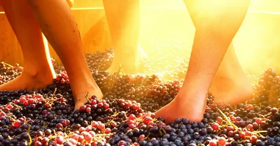 Illustration worked - Image 1