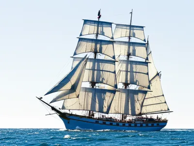 Illustration backed - Image 1