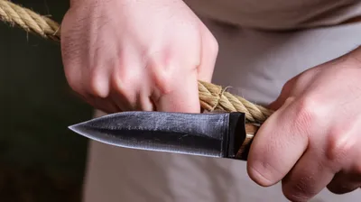 Illustration sever - Image 1