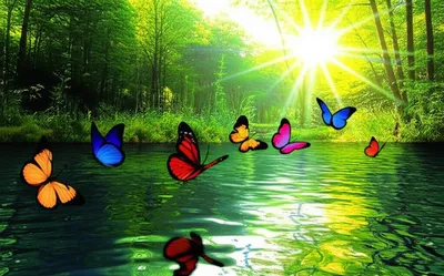 Illustration clearest - Image 1