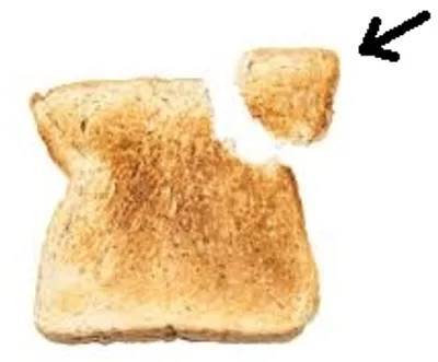 Illustration bite - Image 3