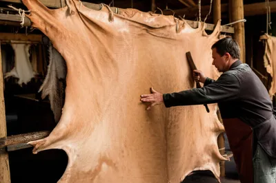 Illustration beam - Image 1