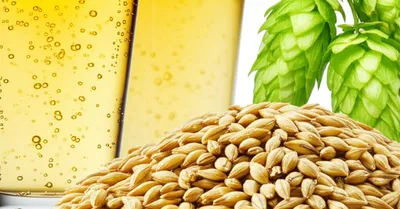 Illustration beer - Image 1