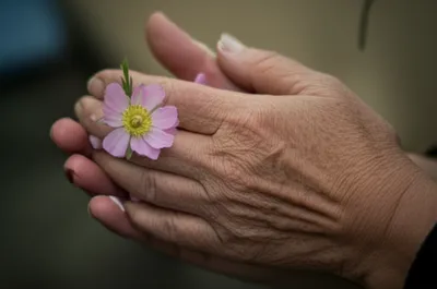 Illustration cicatrice