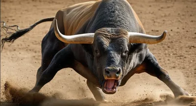 Illustration bellow - Image 1