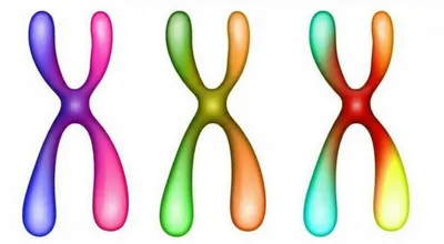 Illustration univalent - Image 1