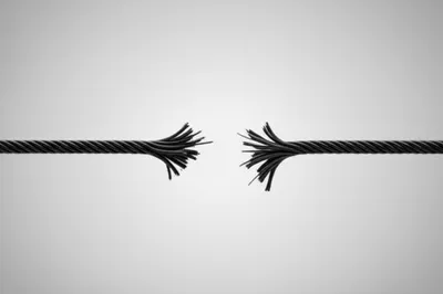 Illustration snap - Image 1