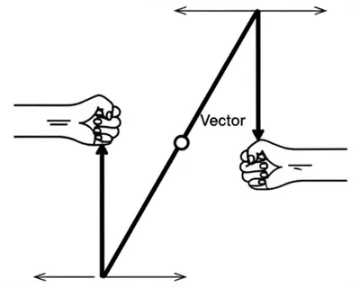 Hình ảnh minh họa parallelogram of forces - Ảnh 1
